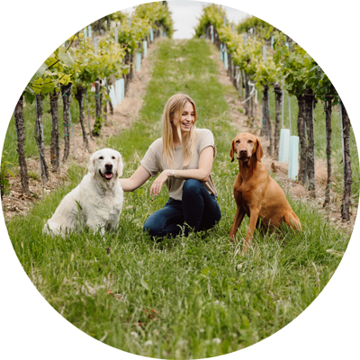 Katharina Miklauz sits among the vines with her dogs Nala and Pluto.