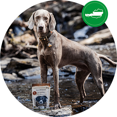 A dog standing in a river with a pack of DOG'S LOVE treats in front of him.