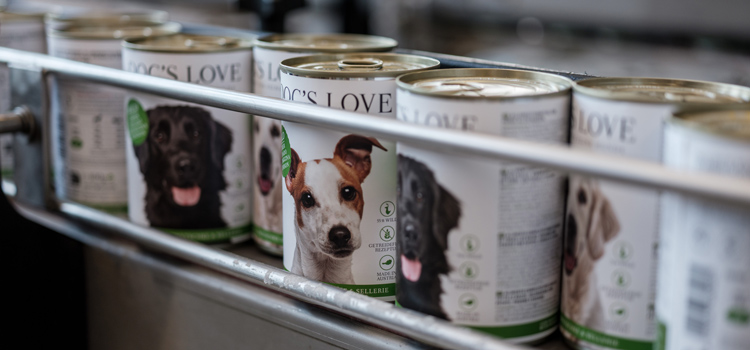 DOG'S LOVE cans travelling along a treadmill 