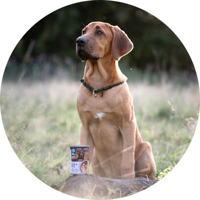 A dog sitting on a meadow with a can of Pure Nature in front of him.